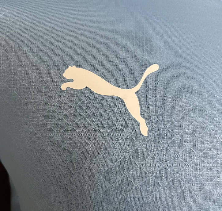 Manchester City Home PUMA 24/25